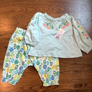 NWT peek 6-12 month girls floral embroidered pants shirt set 2-piece cotton